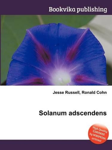 Solanum Adscendens