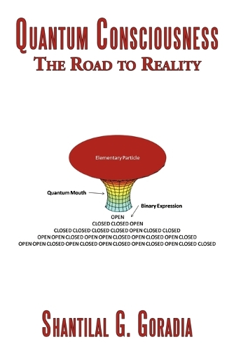 Quantum Consciousness