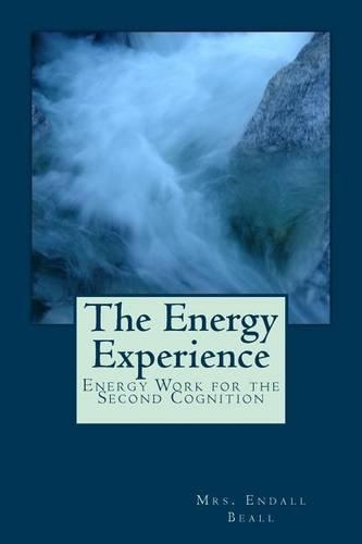 The Energy Experience: (The Evolution of Consciouness)