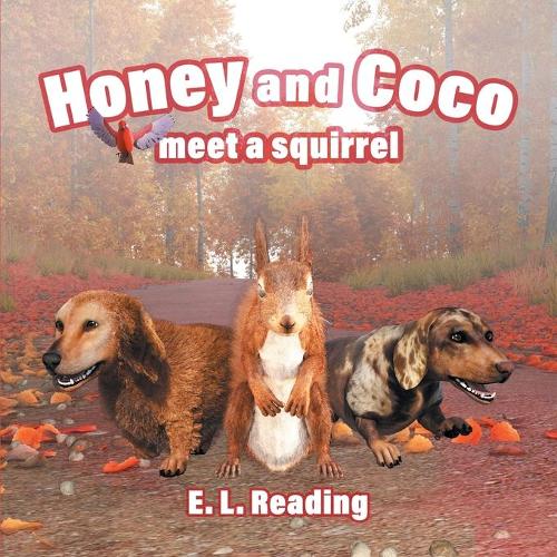 Honey and Coco meet a squirrel