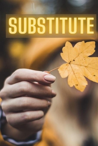 Substitute: Adventure Fantasy Story