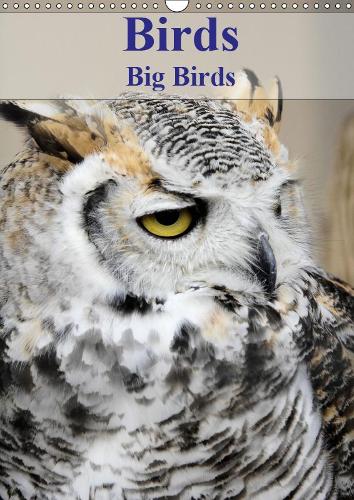 Birds Big Birds 2019: Images of some of the largest birds(Calvendo Nature)