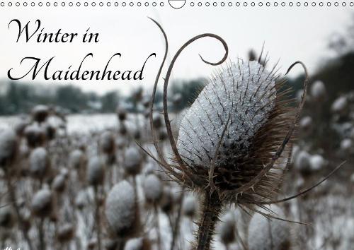 Winter in Maidenhead 2019