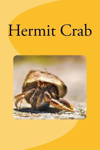 Hermit Crab