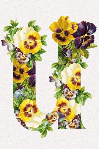 Floral Initials Dot Grid Journal - U
