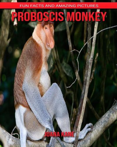 Proboscis Monkey
