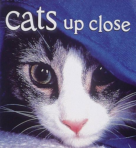 Cats Up Close: Miniseries: (Tiny Folios (Hardcover))