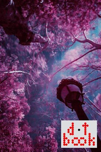 The Dot Book - A Dot Grid Notebook for Graphic Designers - Scenic Series - 023