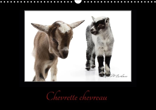 Chevrette chevreau 2018