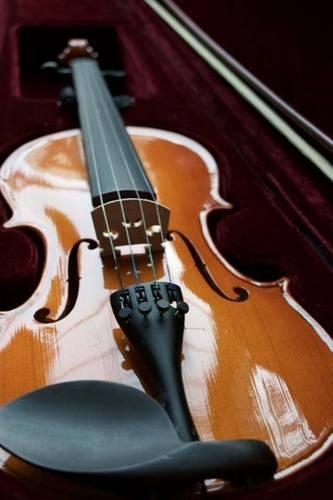 Violin Musical Instrument Journal