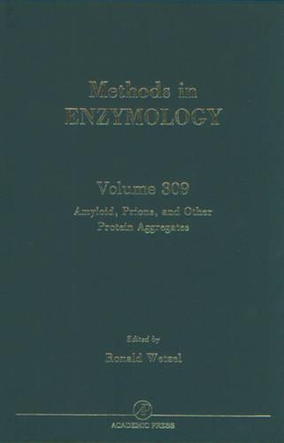 Amyloid, Prions, and Other Protein Aggregates