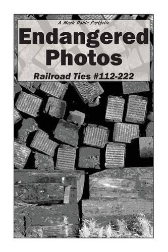 Endangered Photos: Railroad Ties #112-222(English)