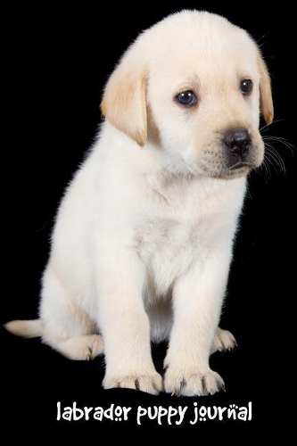 Labrador Puppy Journal