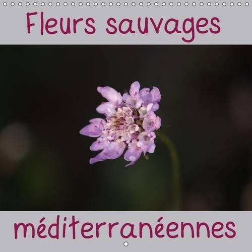 Fleurs Sauvages Mediterraneennes 2017