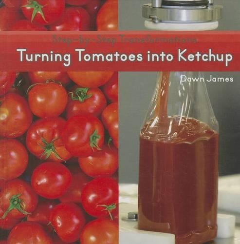 Turning Tomatoes Into Ketchup