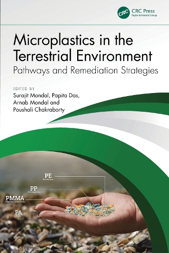 Microplastics in the Terrestrial Environment: Pathways and Remediation Strategies