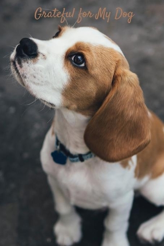 Grateful for My Dog