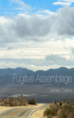 Fugitive Assemblage