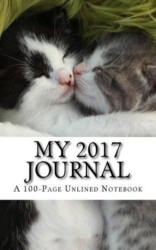 My 2017 Journal