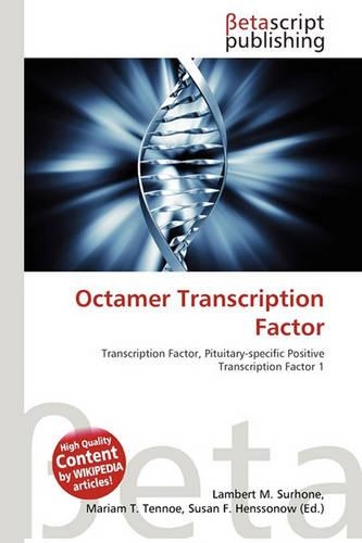 Octamer Transcription Factor