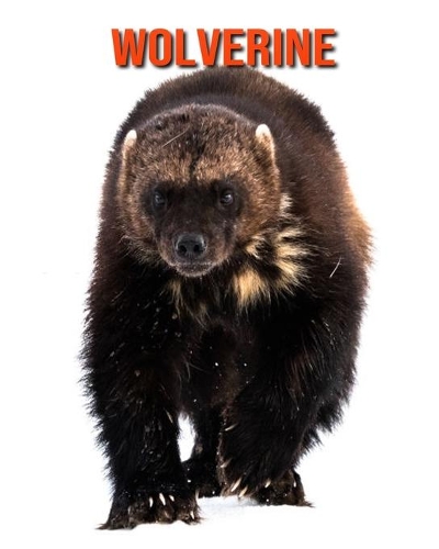Wolverine