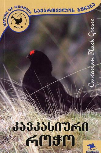 Caucasian Black Grouse