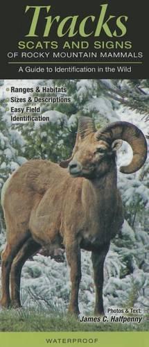 Mammals of the Rocky Mountains