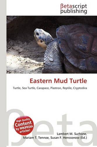 Eastern Mud Turtle: (English)