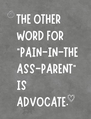 The Other Word For Pain In The Ass Parent Is Advocate