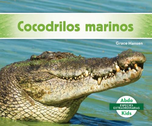 Cocodrilos Marinos / Saltwater Crocodiles