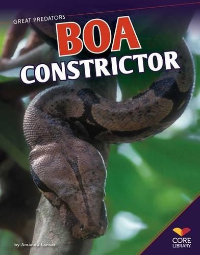BOA Constrictor