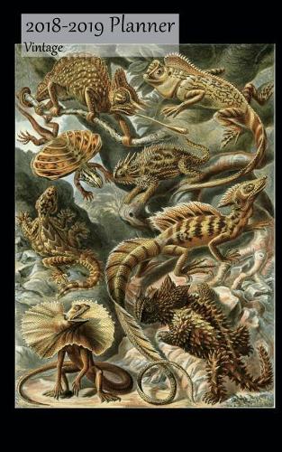 2018-2019 Planner Vintage: Small 2 Year Bi Weekly 2018-19 Organizer With Yearly, Monthly and Address Pages And Lizards Cover