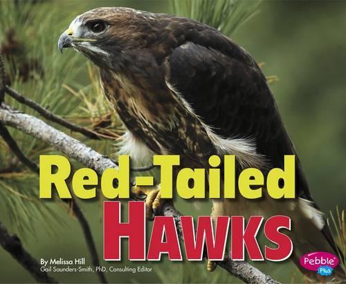 Red-Tailed Hawks: (Birds of Prey)