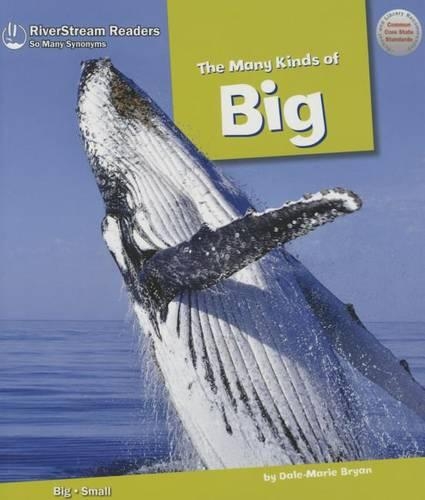 The Many Kinds of Big