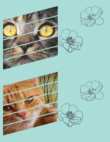 Cats & Flowers