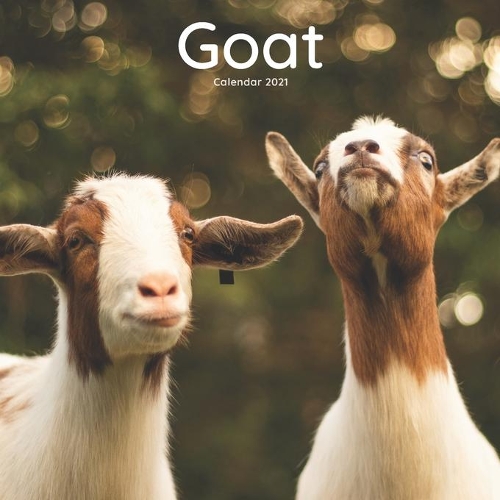 Goat Calendar 2021