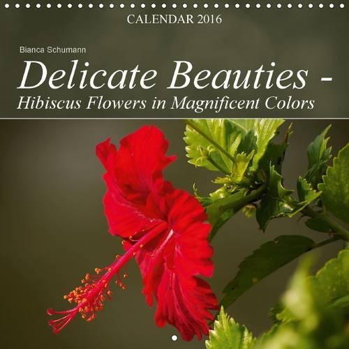 Delicate Beauties - Hibiscus Flowers in Magnificent Colors 2016: Delicate hibiscus flowers in beautiful shapes and colors(Calvendo Nature)