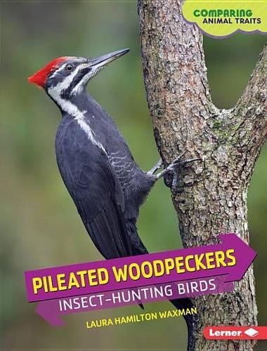 Pileated Woodpeckers