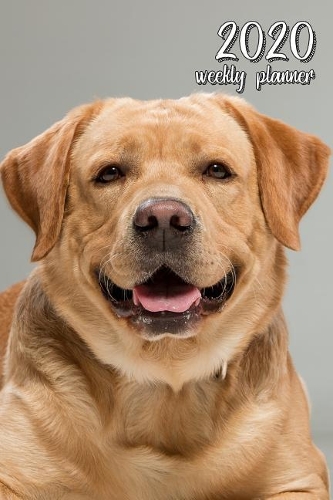 2020 Weekly Planner: 6 X 9 In. Yellow Labrador Retriever 52 Weekly Calendar Schedule Organizer Appointment Journal Notebook for Lab Fans