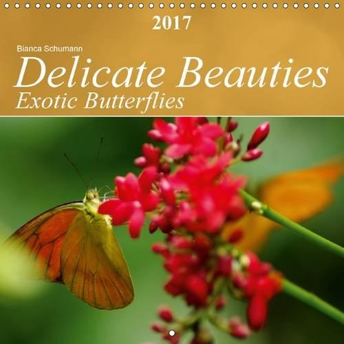 Delicate Beauties Exotic Butterflies 2017