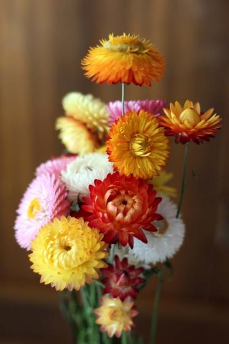 A Bouquet of Autumn Flowers Journal: 150 Page Lined Notebook/Diary