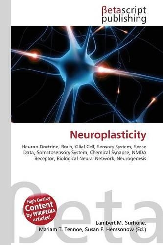 Neuroplasticity