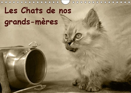 Les Chats de nos grands-mères 2019