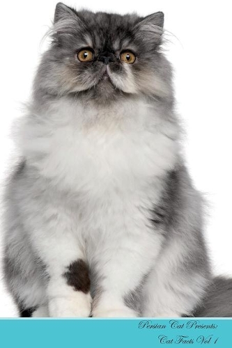 Persian Cat Presents