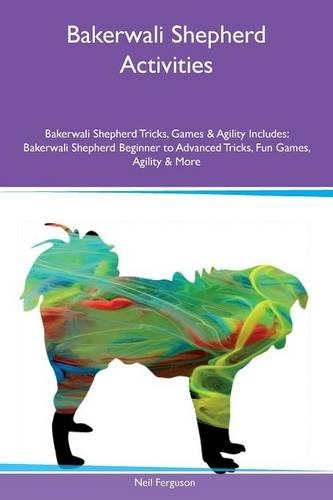 Bakerwali Shepherd Activities Bakerwali Shepherd Tricks, Games & Agility Includes