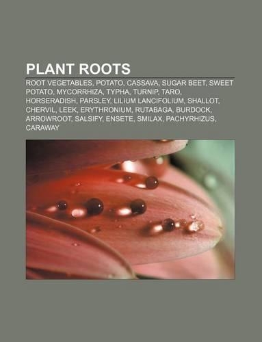 Plant Roots: Root Vegetables, Potato, Cassava, Sugar Beet, Sweet Potato, Mycorrhiza, Typha, Turnip, Taro, Horseradish, Parsley(English)