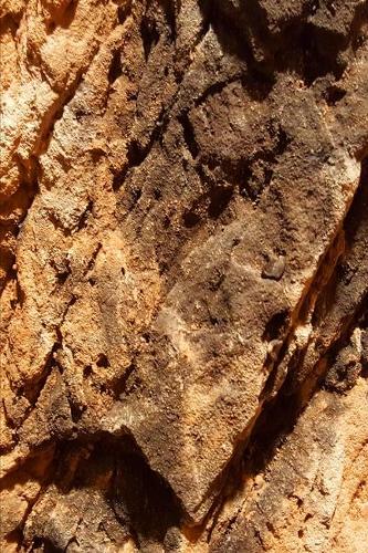 2020 Weekly Planner Journal Natural Rock Formation 134 Pages: 2020 Planners Calendars Organizers Datebooks Appointment Books Agendas