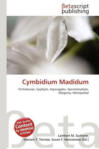 Cymbidium Madidum