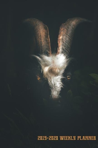 2019-2020 Weekly Planner
