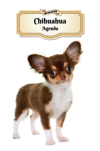 2020 Chihuahua Agenda